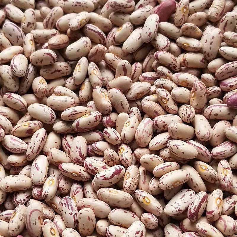 Light Speckled Kidney Beans