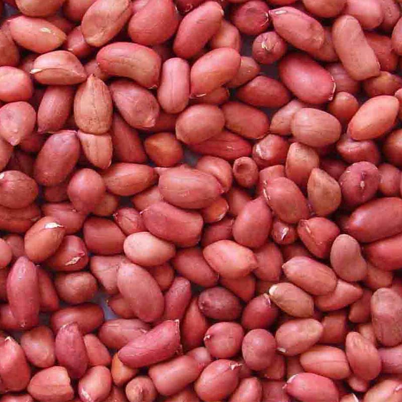 Red Skin Peanut